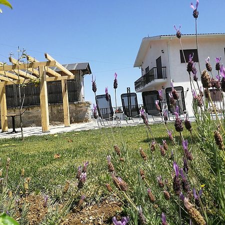 Abrigo Das Andorinhas Aveiro Dış mekan fotoğraf
