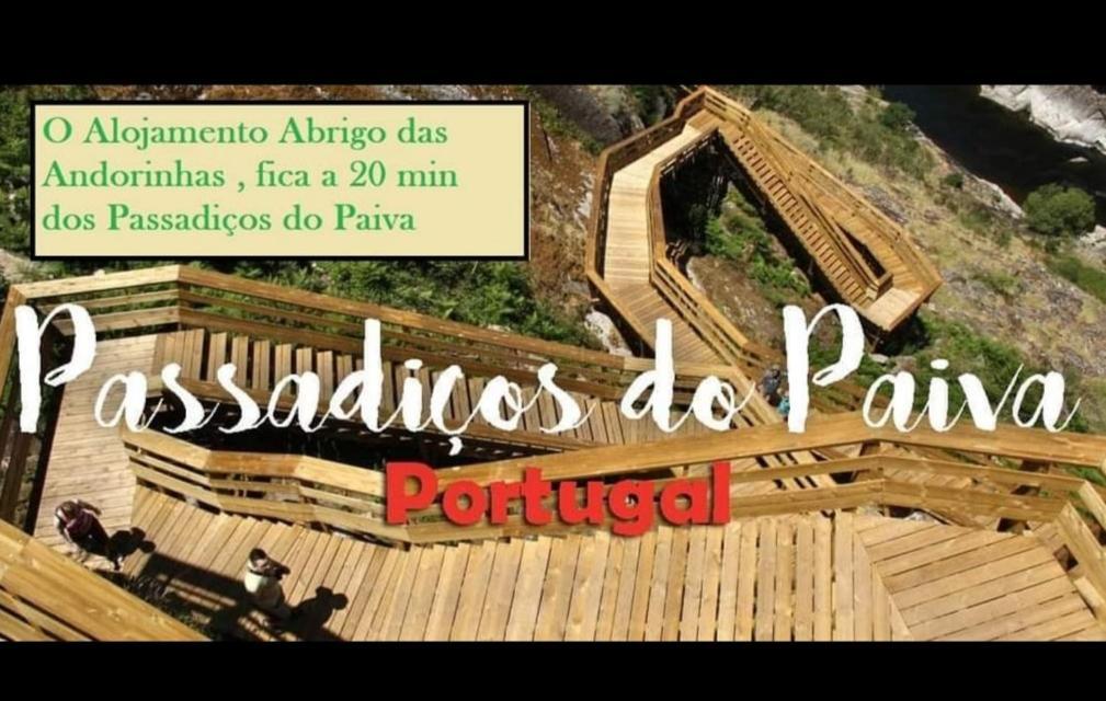 Abrigo Das Andorinhas Aveiro Dış mekan fotoğraf