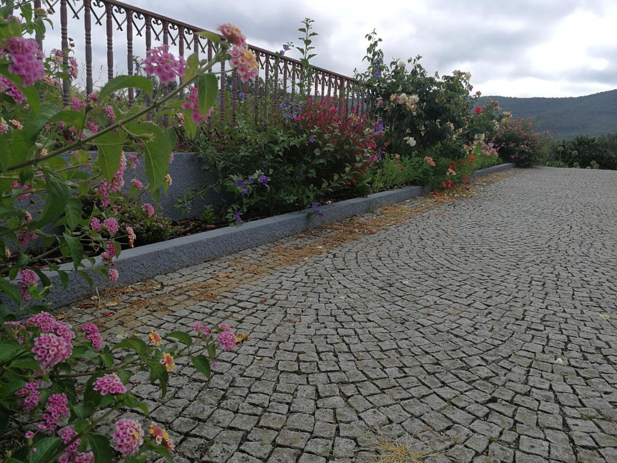 Abrigo Das Andorinhas Aveiro Dış mekan fotoğraf