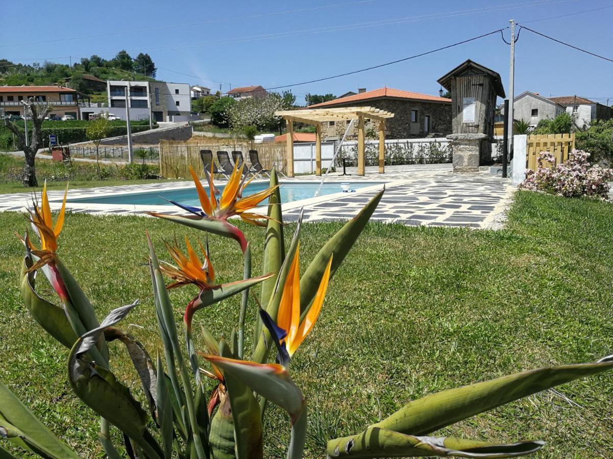 Abrigo Das Andorinhas Aveiro Dış mekan fotoğraf